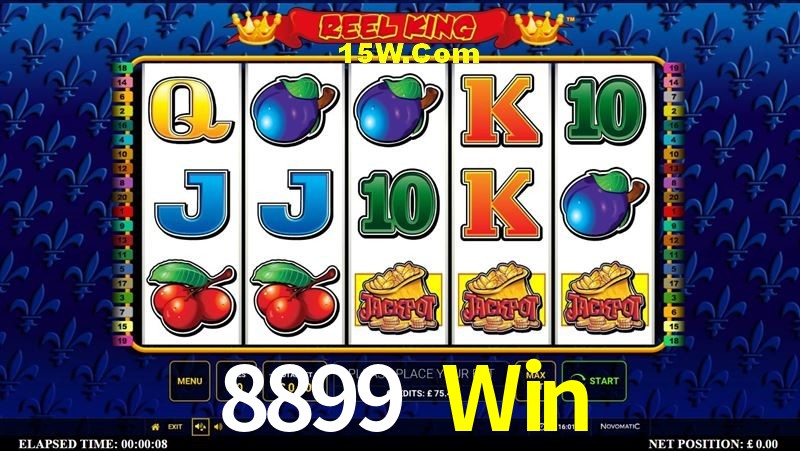 Platform Technology 8899 Win
