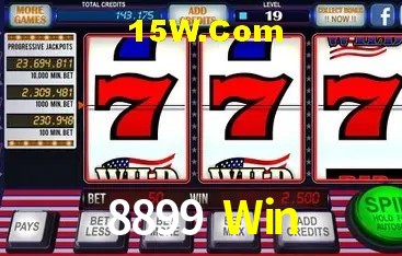 Segurança 2FA 8899 Win