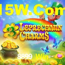 Premium Interface 8899 Win