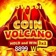 Security Systems 8899 Win