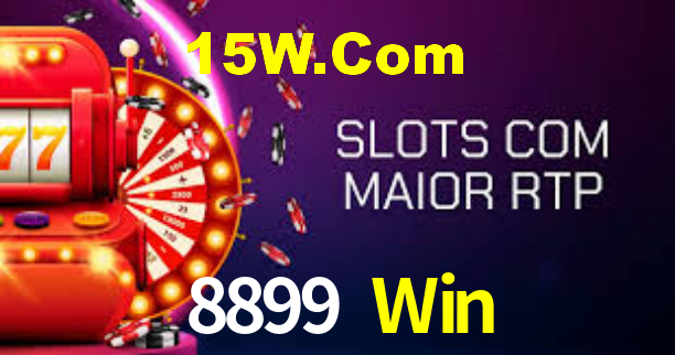 Premium Interface 8899 Win