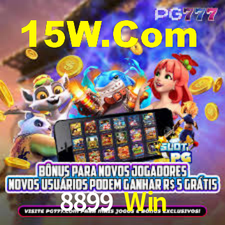 8899 Win App Interface