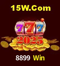 Login Seguro 8899 Win